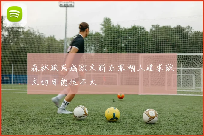 森林狼或成欧文新东家湖人追求欧文的可能性不大
